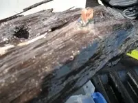 Ship plank 004.webp