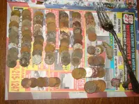 DSC05393.webp