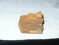OPAL RESIZE.webp