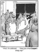 sheep_dip.webp