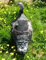 turkeywithsaddle.webp