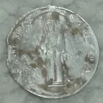 HPIM1289.webp