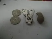allens coin shots 313.webp