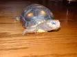 avatar_17245.webp