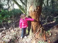 100_3296.webp