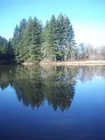 100_3297.webp