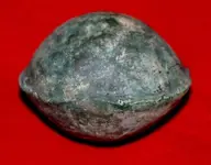 Copper Rattle1a.webp
