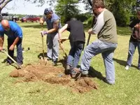 Big dig.webp