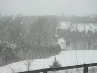 snow 001.webp snow 001.webp