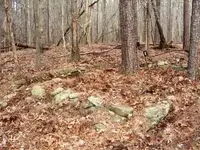 ruin2a.webp