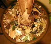 000_0003_01.webp