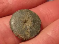 IMG_1670.webp