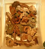 000_0006_00.webp