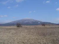 The French in my back yard 001.webp