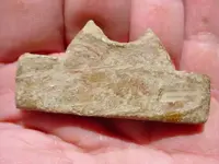 molded lead 003.webp