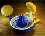 food020.webp