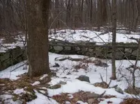 JAN 17TH  hunt with sniffy 001 [].webp