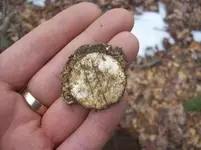 JAN 17TH  hunt with sniffy 004 [].webp