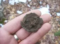 JAN 17TH  hunt with sniffy 003 [].webp