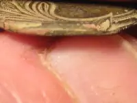 IMG_1686.webp