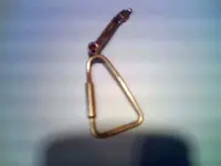 mxthunt gold.webp