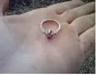ring.webp