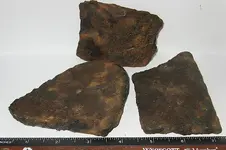 ShellFragments.webp