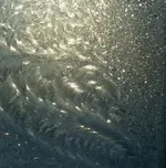 Picture 009.webp