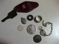 Florida finds.webp