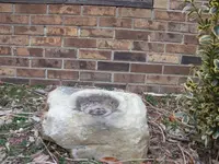 stone1.webp