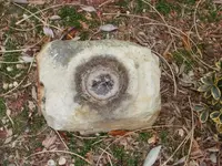 stone2.webp