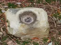 stone6.webp