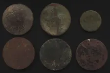 rosettes.webp