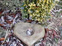 stone3.webp
