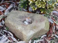 stone7.webp