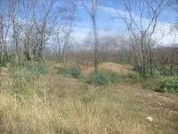 S7301574.webp