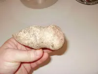 stone6.webp