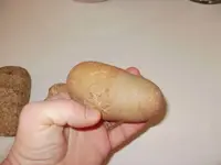 stone10.webp
