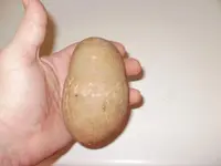 stone11.webp