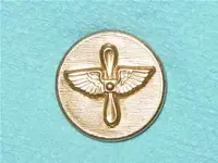 button wings and propeller.webp