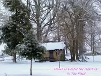 The Shack.webp