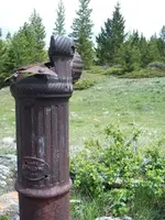 100_0236small.webp