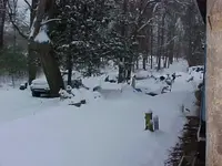 snojan29#4.webp