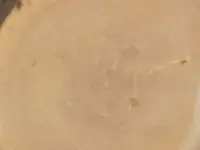 stone5.webp