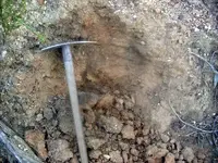 S7301467.webp