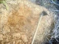 S7301468.webp