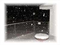 my backyard snow.webp