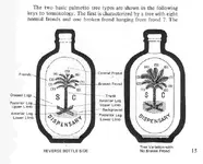 flaskjojopalmettodiagram.webp