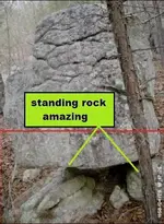 your rock.webp