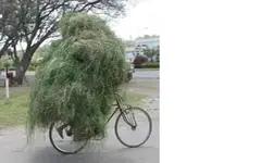 ghille suit1.webp